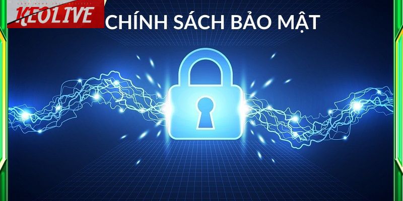 Các điều khoản chính sách keolive chi tiết