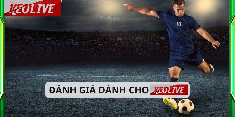 Nhận xét từ người dùng về trải nghiệm trên Keolive